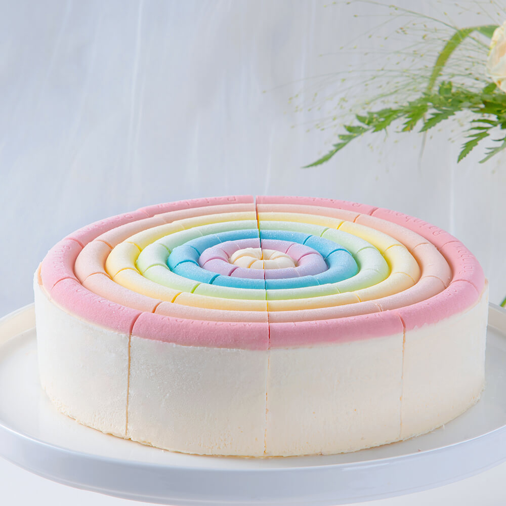 Rainbow Cheese Cake