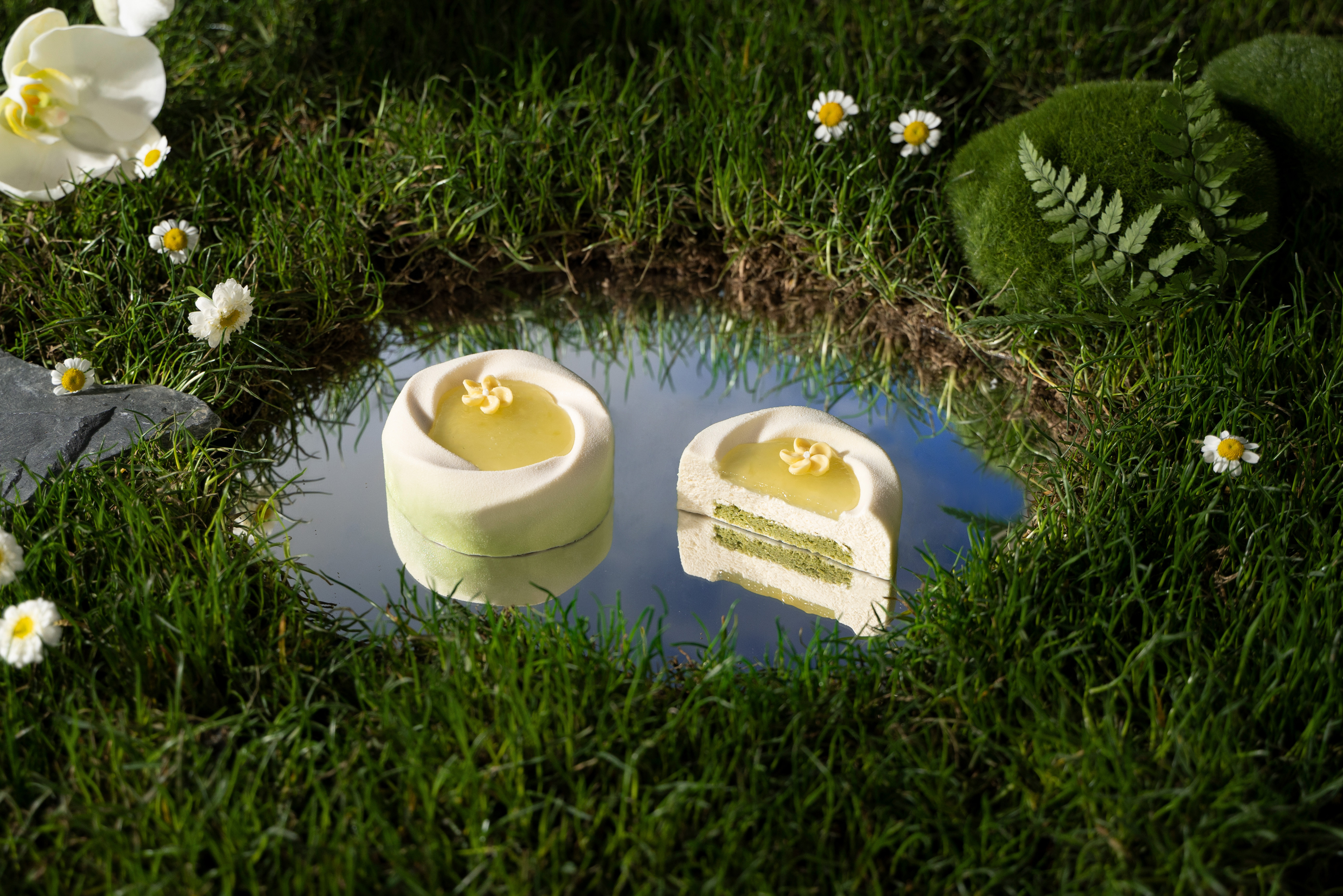 Green Lemon and Matcha Moon Mousse Cake