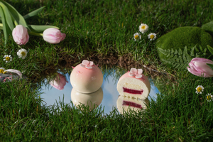 Cheese & Rose Mousse Cake