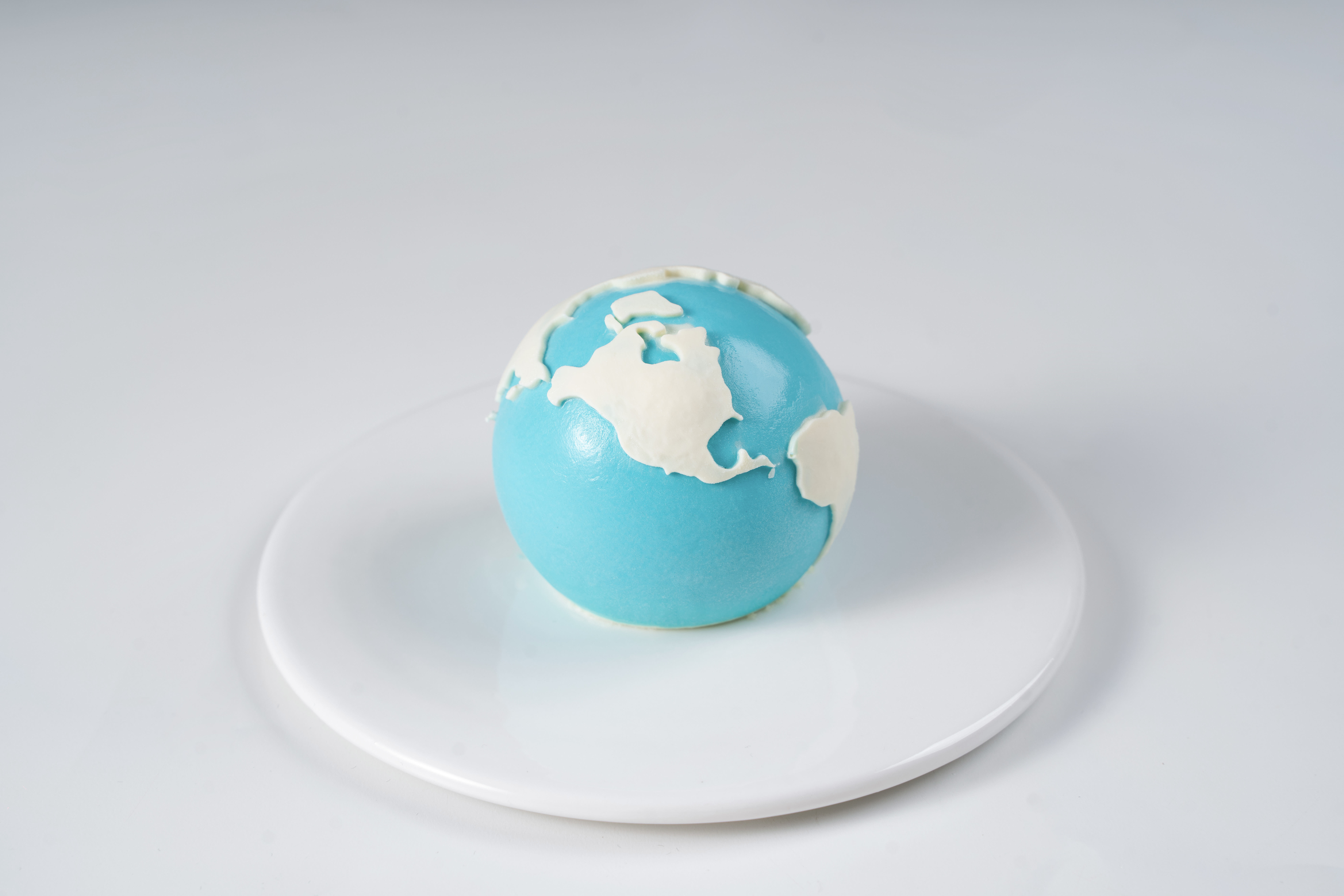 Earth Mousse Cake(Winter)