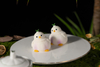 Garlic Bird Shaped Mousse Cake