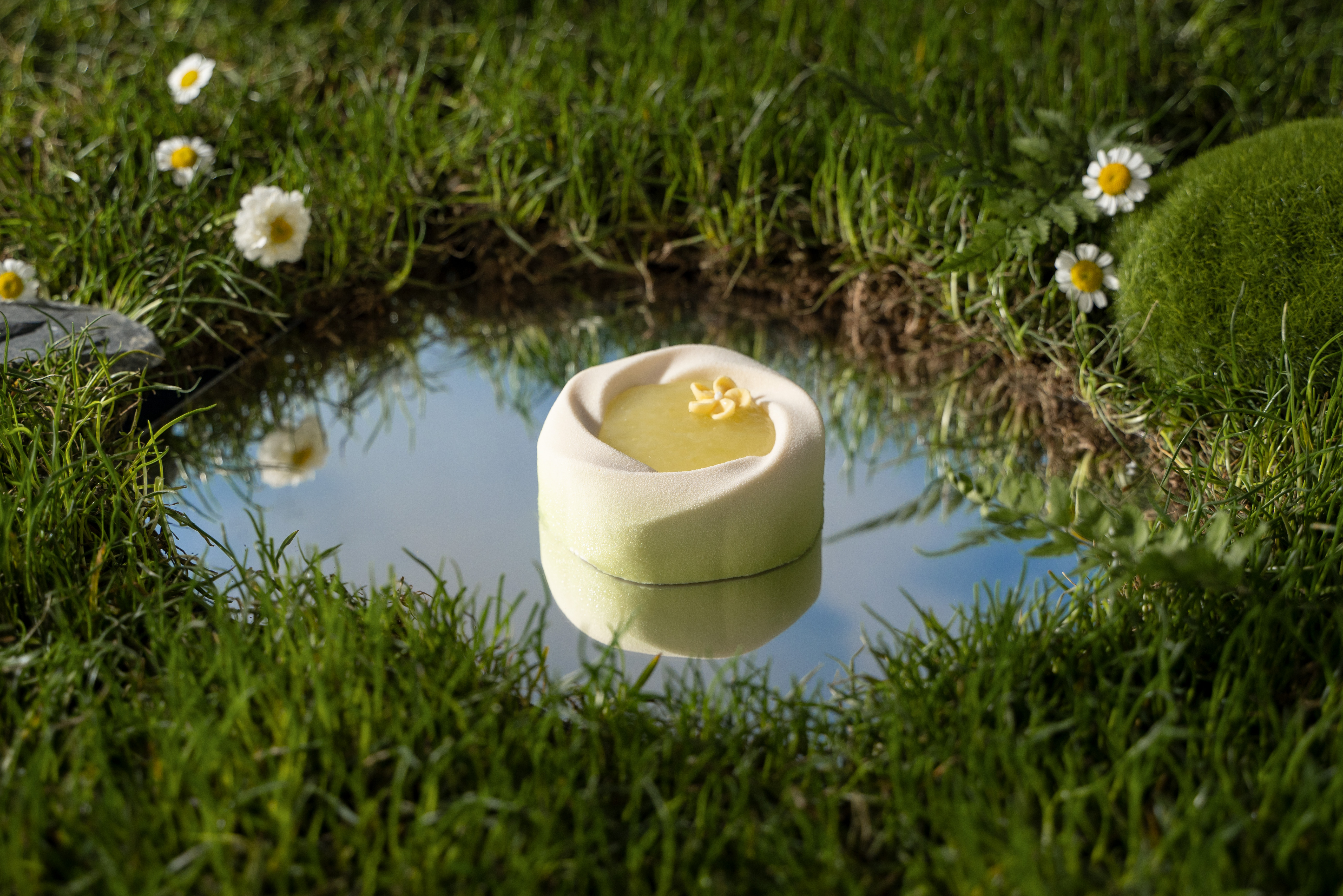 Green Lemon and Matcha Moon Mousse Cake